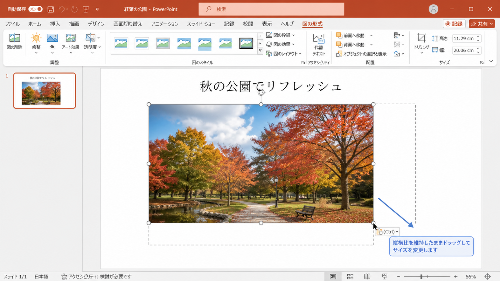 挿入した写真の四隅をドラッグして、大きさを調整している画面